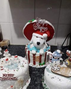 christmas cake in Gosport, Hampshire